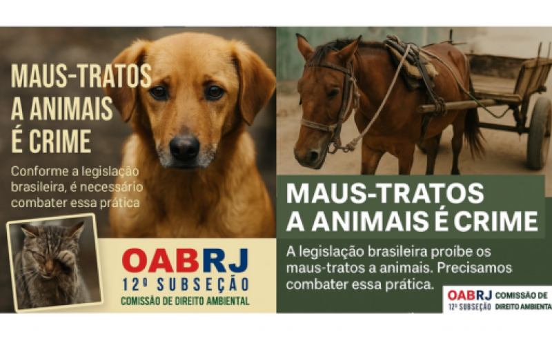 Maus-Tratos a Animais: É Crime e Você Pode Denunciar!